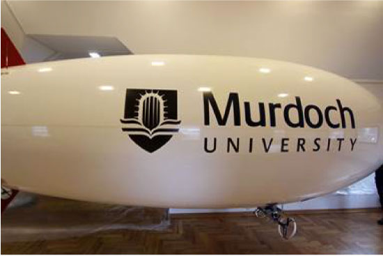 6-m-rc-blimp
